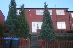 home-1